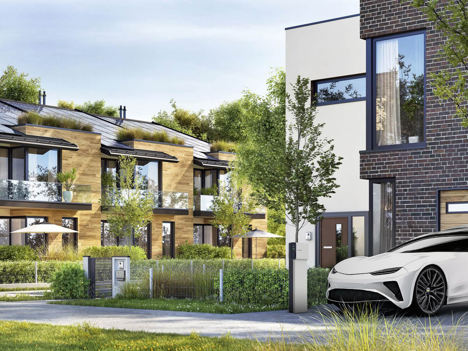 Electric cars as the future of the transport sector
