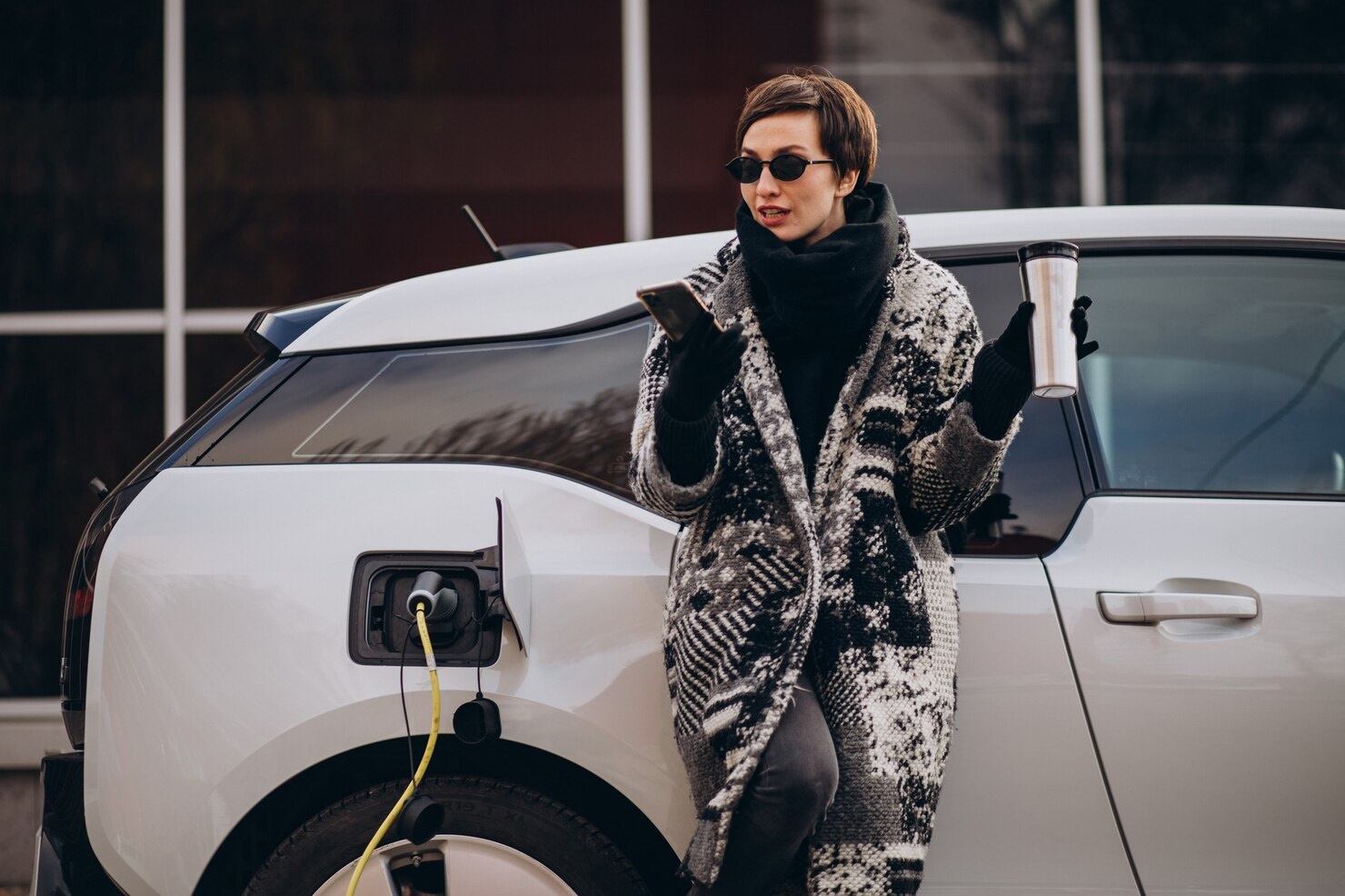 What are best practices for long-term maintenance of electric vehicles?